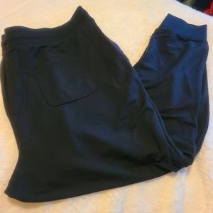 Fabletics Joggers